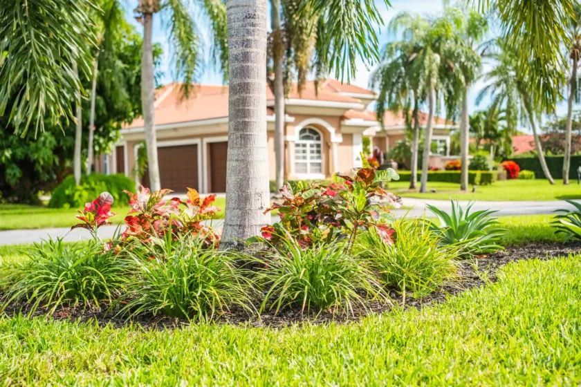 Delray Beach, FL Landscape Installation Company