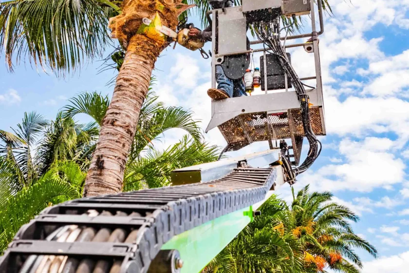 Delray Beach, FL Tree Services