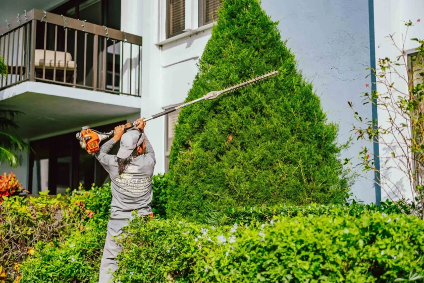 Delray Beach, FL Landscape Maintenance Services