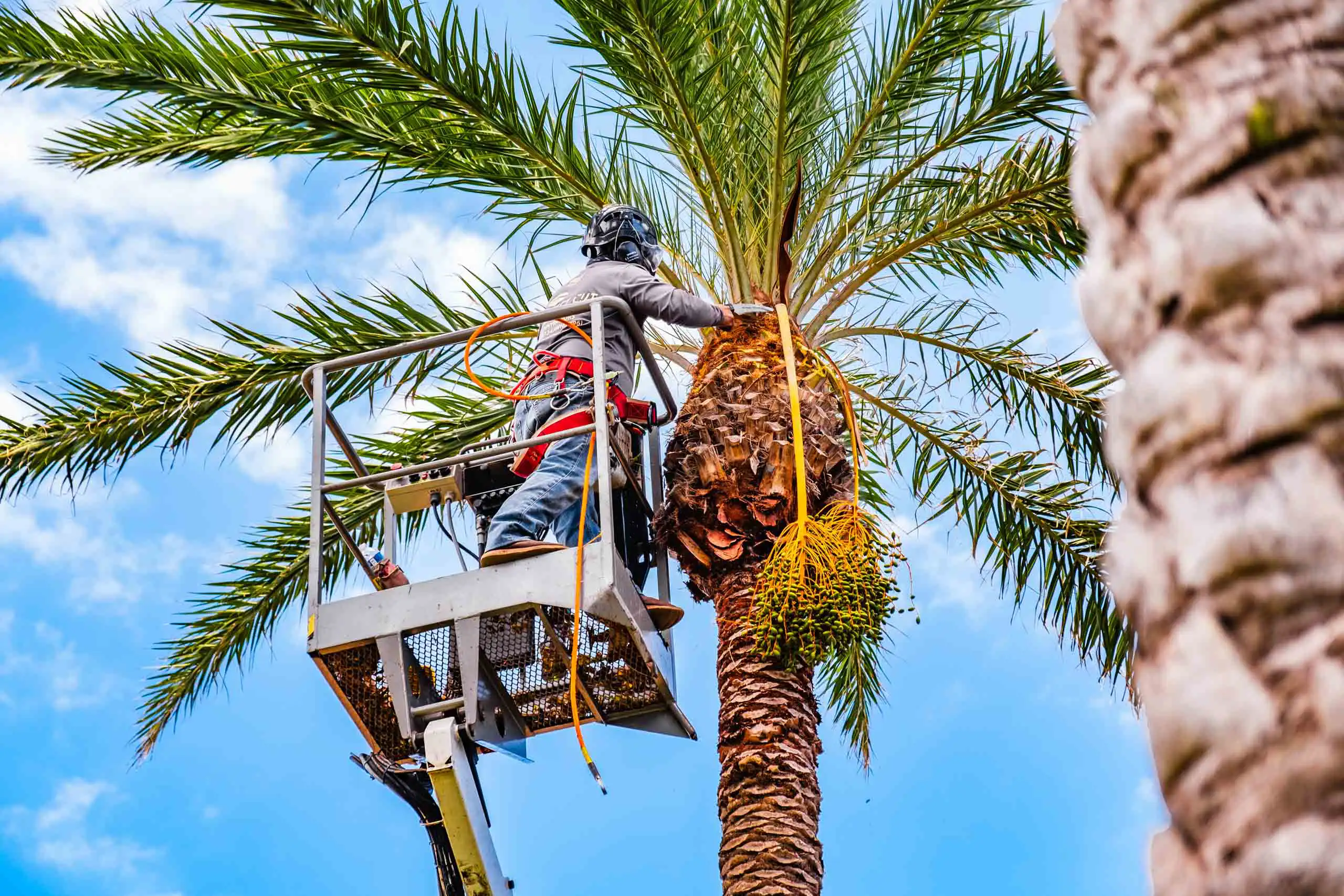 Perfect Cut Landscaping