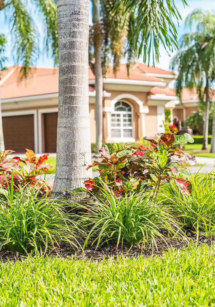 Landscaping Services Delray Beach, FL