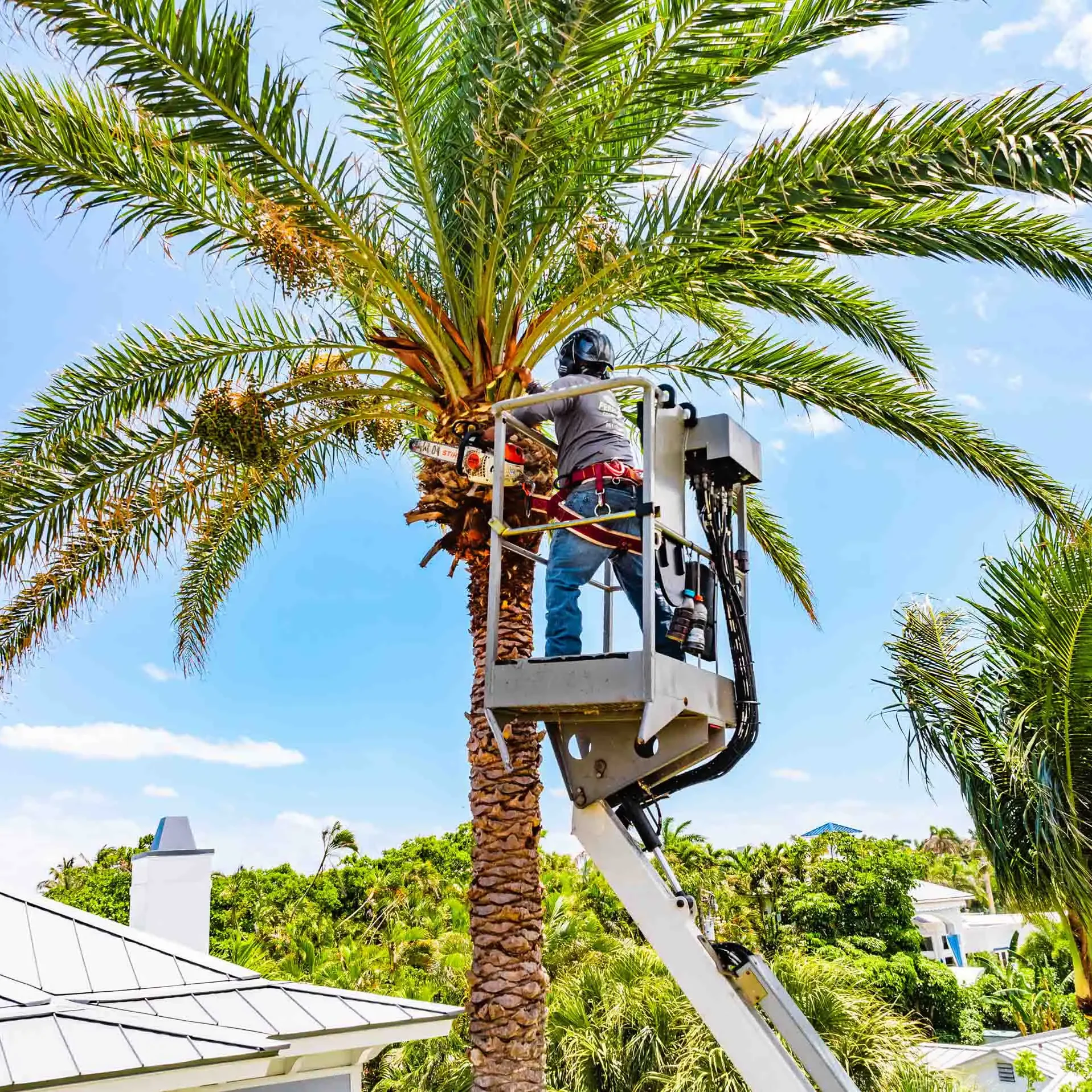 Gulf Stream, FL Commercial Tree Services