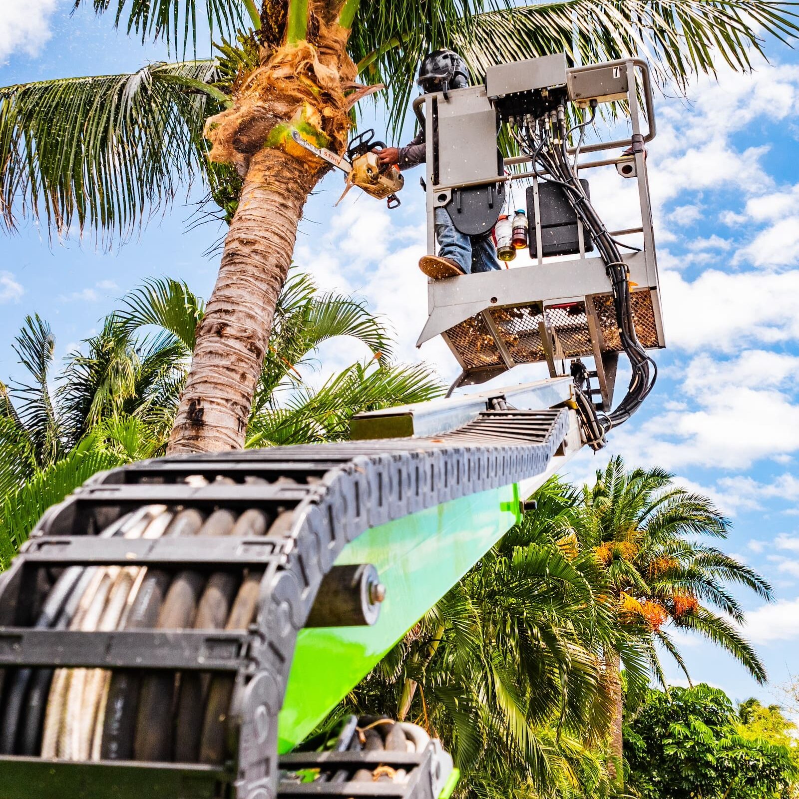 Lake Worth, FL Commercial Tree Trimming Lake Worth, FL Commercial Tree Trimming